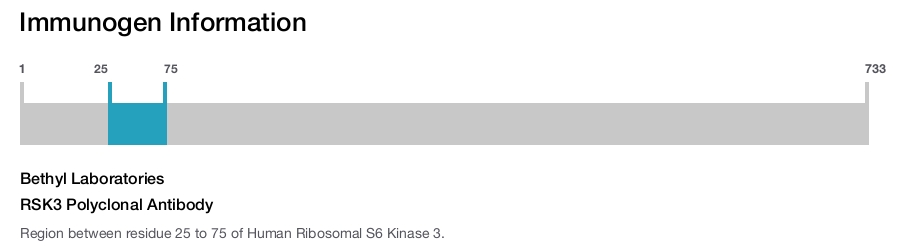 RSK3 Polyclonal Antibody