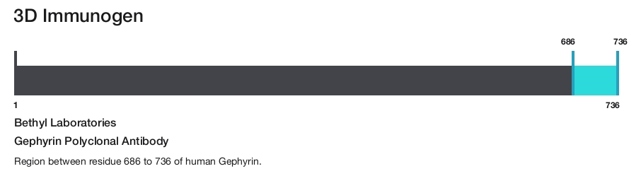 Gephyrin Polyclonal Antibody