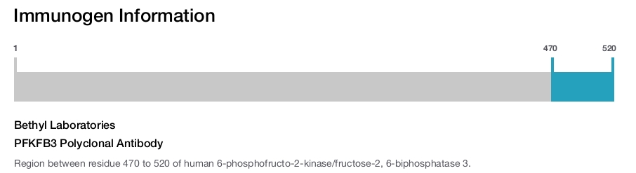 PFKFB3 Polyclonal Antibody