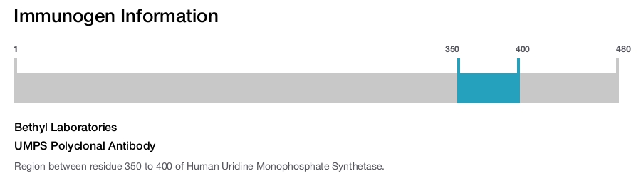 UMPS Polyclonal Antibody