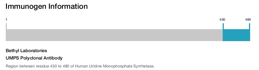 UMPS Polyclonal Antibody