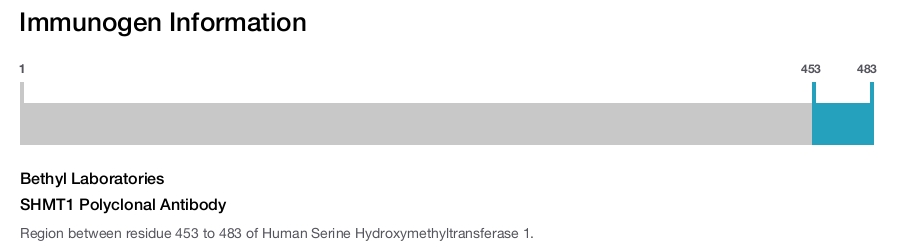SHMT1 Polyclonal Antibody