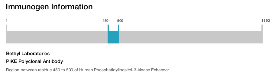PIKE Polyclonal Antibody