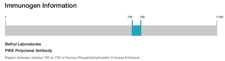 PIKE Polyclonal Antibody