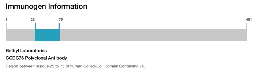 CCDC76 Polyclonal Antibody