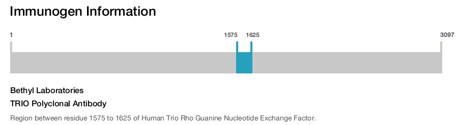 TRIO Polyclonal Antibody
