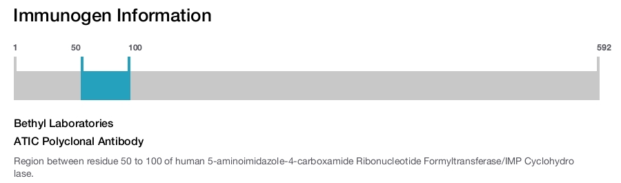 ATIC Polyclonal Antibody