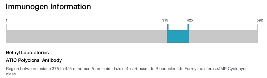 ATIC Polyclonal Antibody