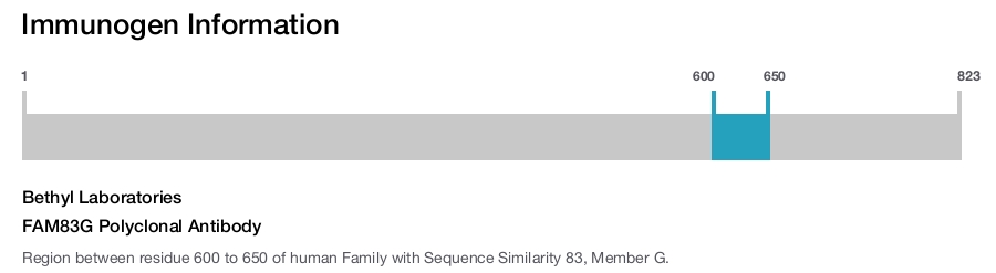 FAM83G Polyclonal Antibody
