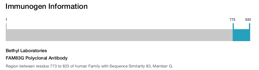 FAM83G Polyclonal Antibody