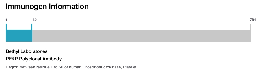 PFKP Polyclonal Antibody