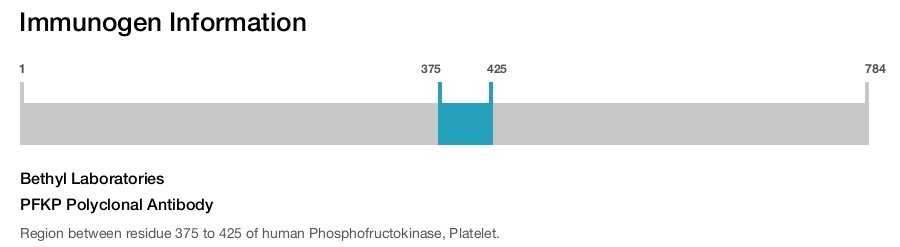 PFKP Polyclonal Antibody