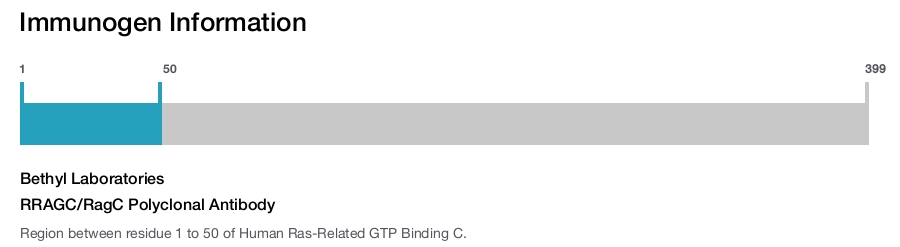 RRAGC/RagC Polyclonal Antibody