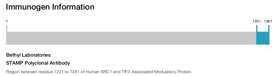STAMP Polyclonal Antibody