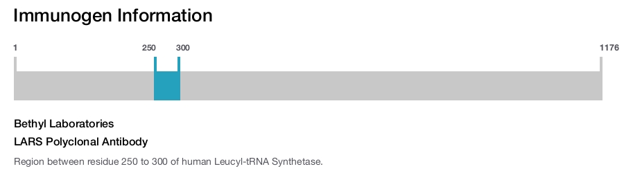 LARS Polyclonal Antibody