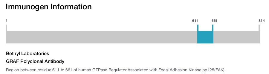 GRAF Polyclonal Antibody