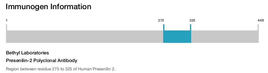 Presenilin-2 Polyclonal Antibody