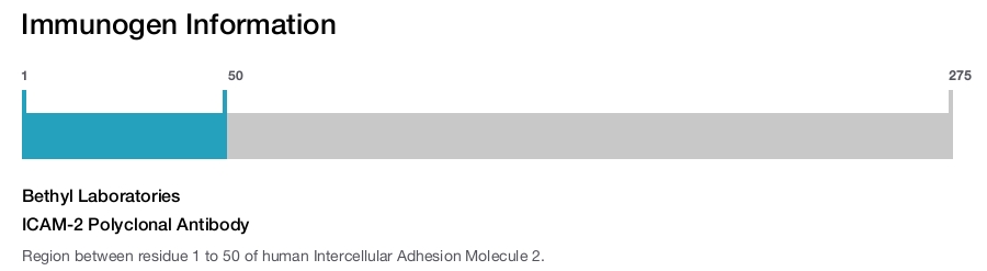 ICAM-2 Polyclonal Antibody