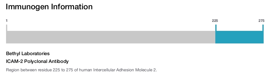 ICAM-2 Polyclonal Antibody