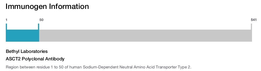 ASCT2 Polyclonal Antibody