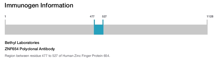 ZNF654 Polyclonal Antibody