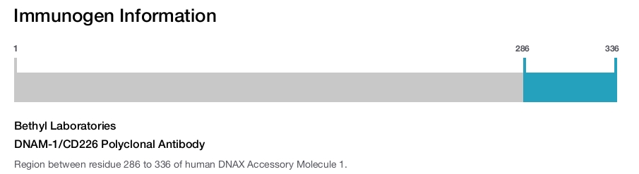 DNAM-1/CD226 Polyclonal Antibody