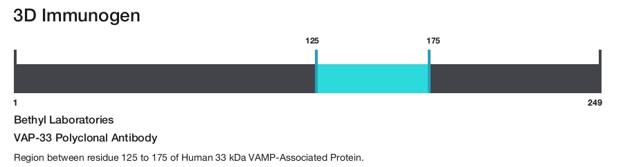 VAP-33 Polyclonal Antibody