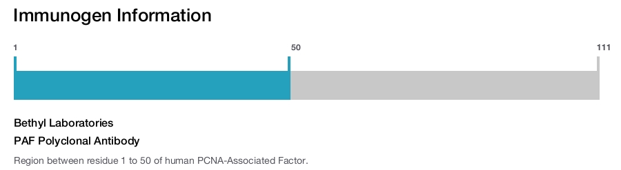 PAF Polyclonal Antibody