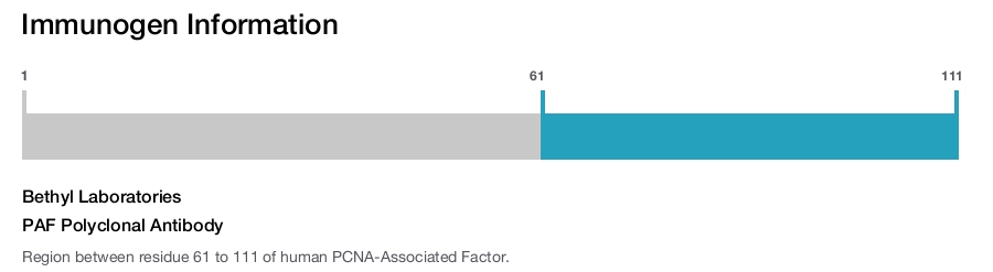 PAF Polyclonal Antibody
