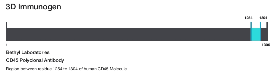 CD45 Polyclonal Antibody