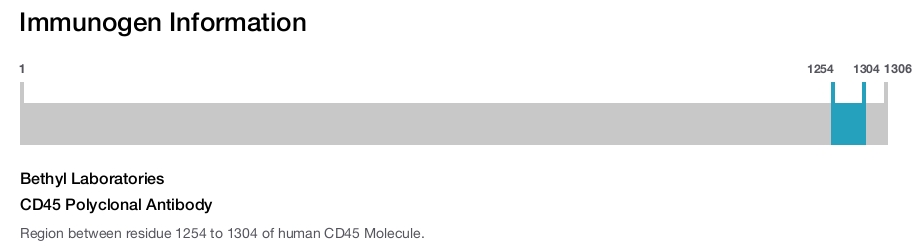 CD45 Polyclonal Antibody