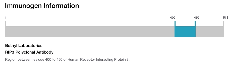 RIP3 Polyclonal Antibody