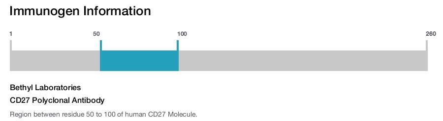 CD27 Polyclonal Antibody