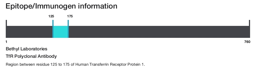 TfR Polyclonal Antibody