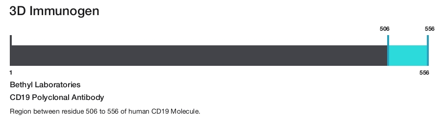 CD19 Polyclonal Antibody