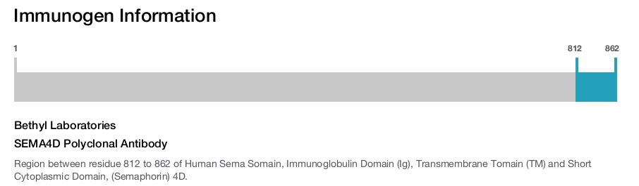 SEMA4D Polyclonal Antibody