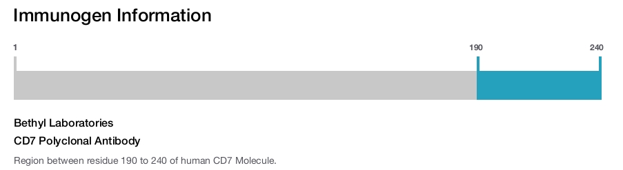 CD7 Polyclonal Antibody
