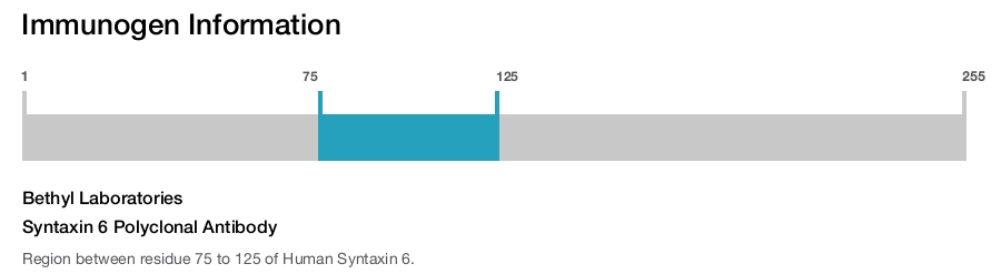 Syntaxin 6 Polyclonal Antibody