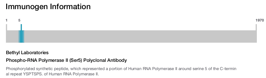 Phospho-RNA Polymerase II (Ser5) Polyclonal Antibody