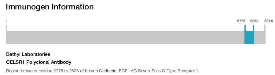CELSR1 Polyclonal Antibody