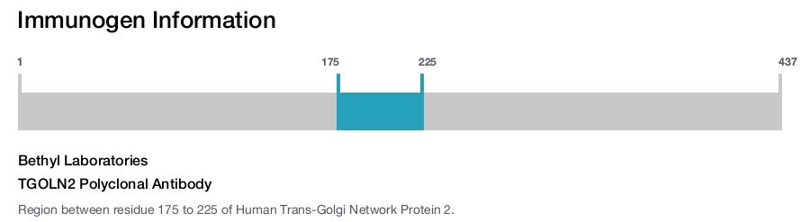 TGOLN2 Polyclonal Antibody