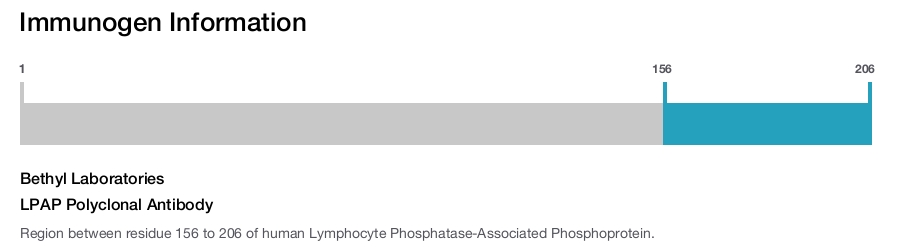 LPAP Polyclonal Antibody