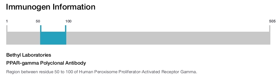 PPAR-gamma Polyclonal Antibody