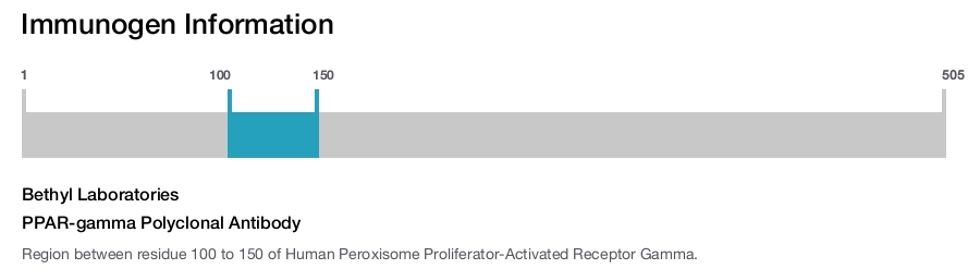 PPAR-gamma Polyclonal Antibody