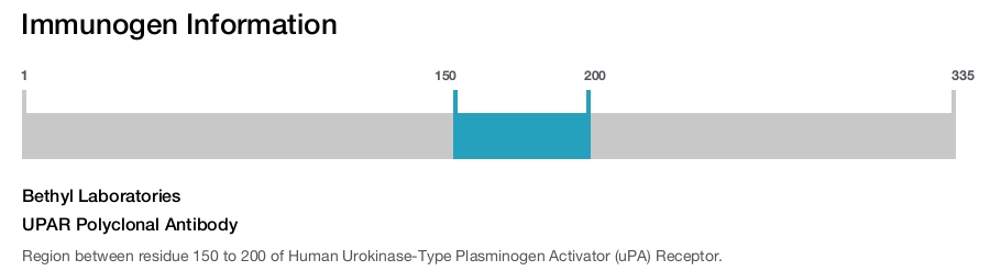 UPAR Polyclonal Antibody