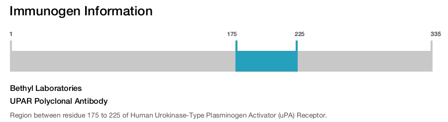 UPAR Polyclonal Antibody