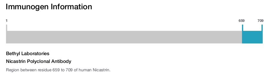 Nicastrin Polyclonal Antibody