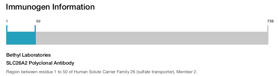SLC26A2 Polyclonal Antibody