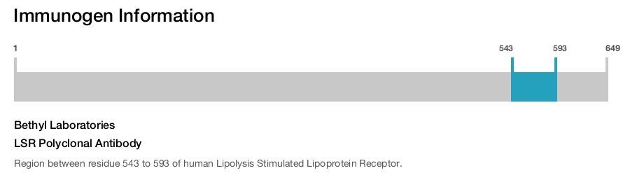 LSR Polyclonal Antibody
