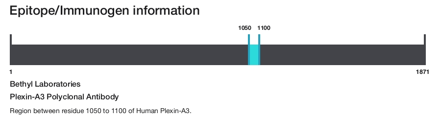 Plexin-A3 Polyclonal Antibody